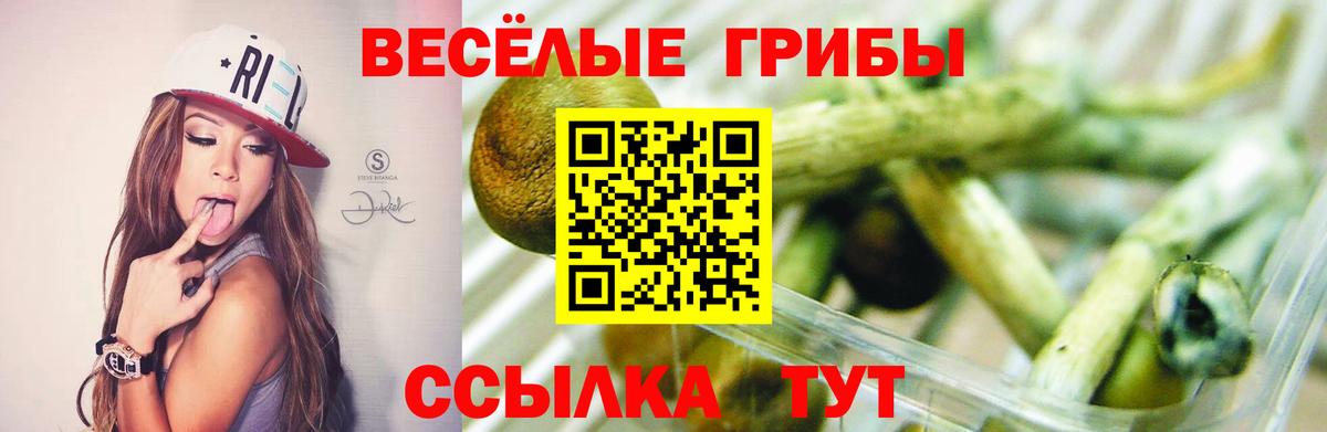 Галлюциногенные грибы мицелий  Вход с VPN  Мирный 